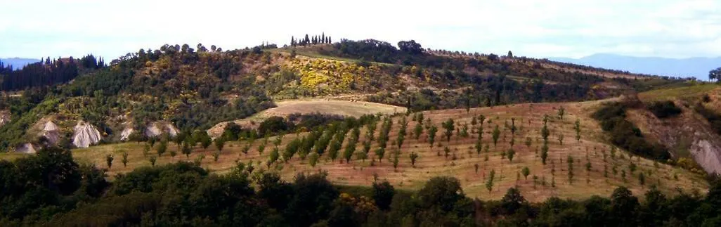 Landhaus Villa Armena Relais Buonconvento